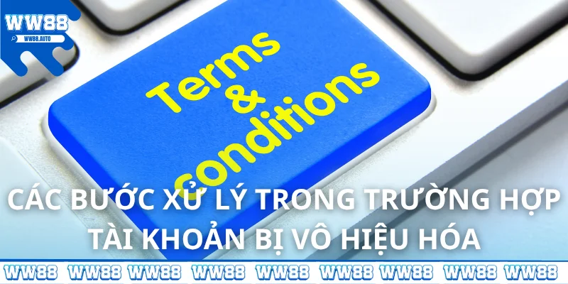 Các bước xử lý trong trường hợp tài khoản bị vô hiệu hóa