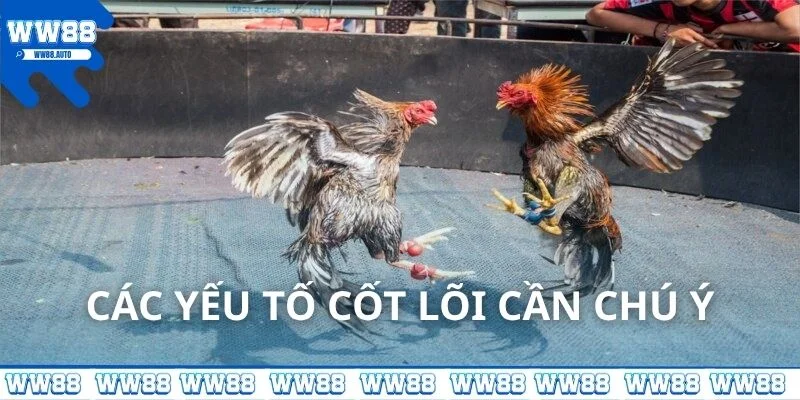 Các yếu tố cốt lõi cần chú ý khi cược đá gà mạng