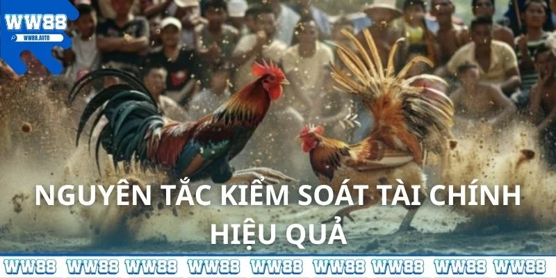 Nguyên tắc kiểm soát tài chính hiệu quả khi chơi game đá gà online