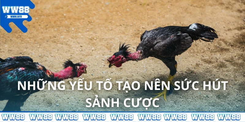 Những yếu tố tạo nên sức hút sảnh cược