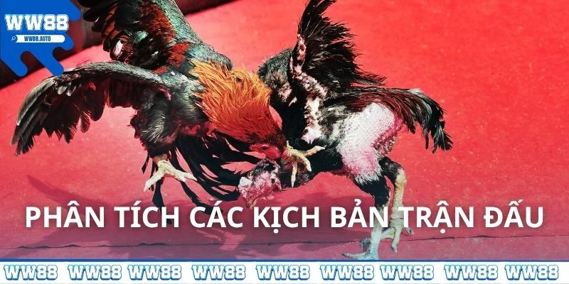 Phân tích các kịch bản trận đấu