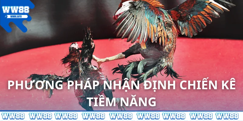 Phương pháp nhận định chiến kê tiềm năng